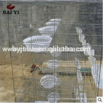 Layer Pigeon Cages of Low Price in Farm